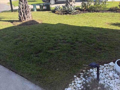 Lawn Care service in Leland, 28451