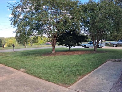 Lawn Care service in Leland, 28451