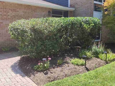 Lawn Care service in Montgomery Village, 20886
