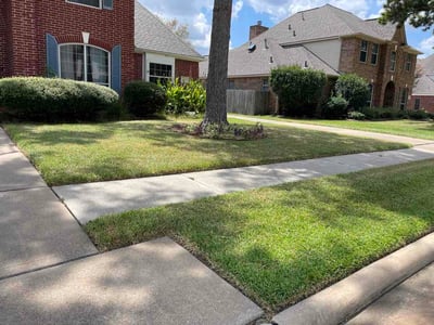 Lawn Care service in Willis, 77378