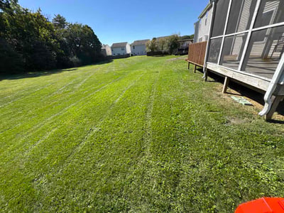 Lawn Care service in Altoona, 16601