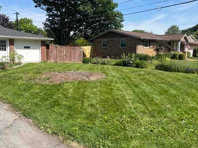 Lawn Care service in Eau Claire, 54701