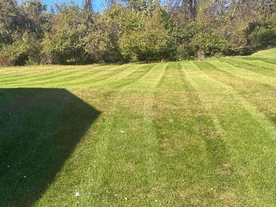 Lawn Care service in Tarentum, 15084