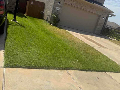 Lawn Care service in Stafford, 77477