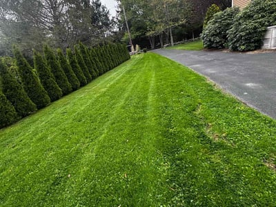 Lawn Care service in Coventry, 02816