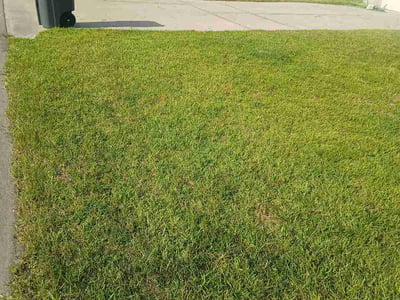 Lawn Care service in Rosenberg, 77471