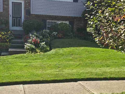 Lawn Care service in Cleves, 45002