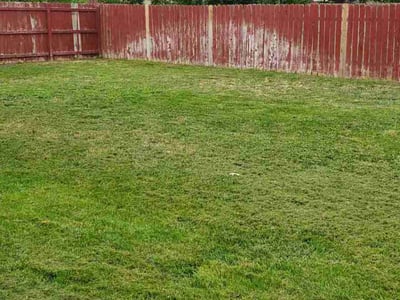 Lawn Care service in Saint George, 84770