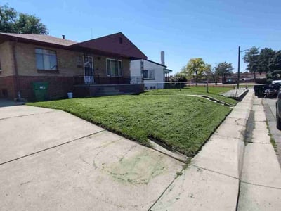 Lawn Care service in Englewood, 80113