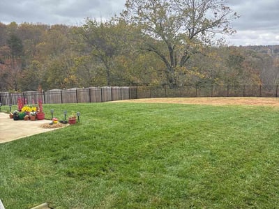 Lawn Care service in Lenoir City, 37771