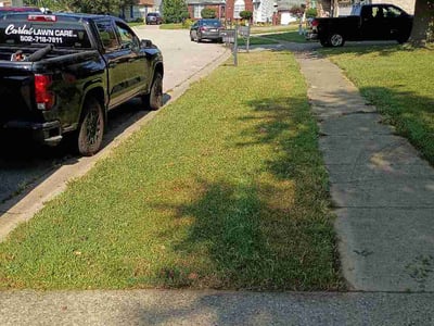Lawn Care service in Wheeling, 26003