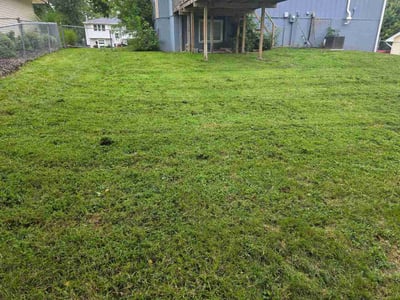 Lawn Care service in Carbondale, 62901