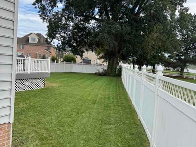 Lawn Care service in Redwood City, 94063