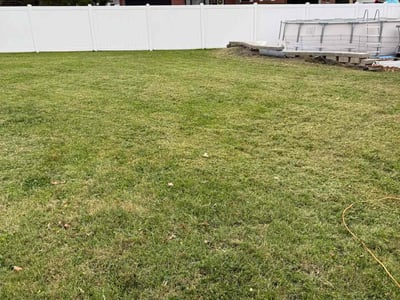 Lawn Care service in Carbondale, 62901