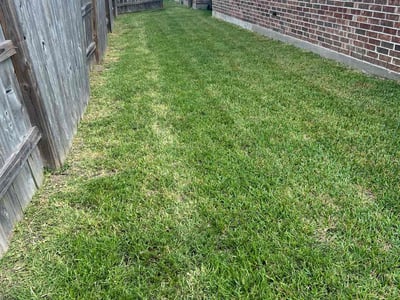 Lawn Care service in Liberty, 77575