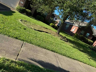 Lawn Care service in League City, 77573