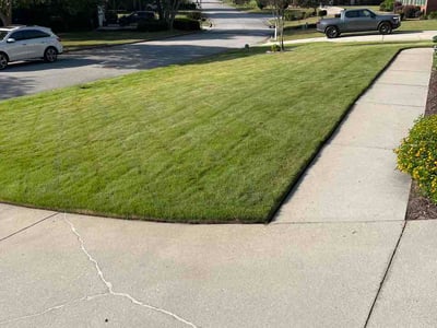 Lawn Care service in Augusta, 30904