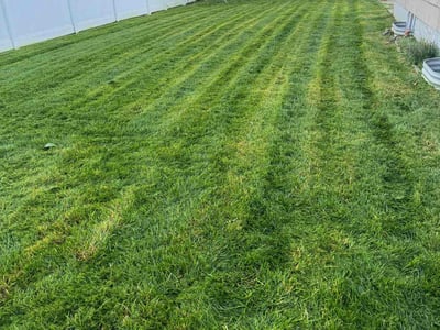 Lawn Care service in American Fork, 84003