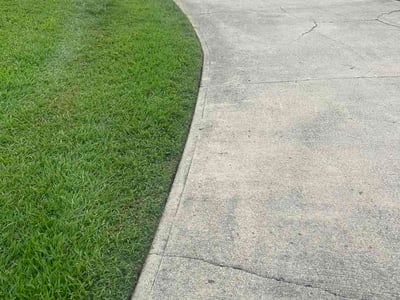 Lawn Care service in Powell, 37849