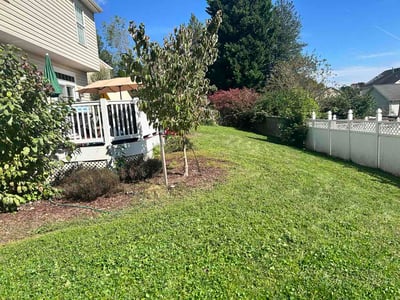 Lawn Care service in Elkridge, 21075