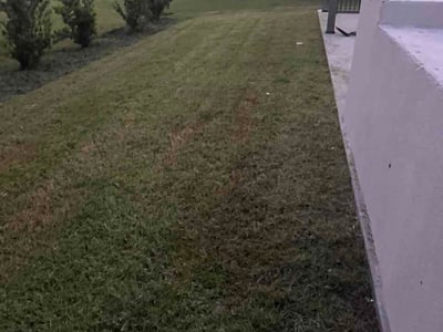 Lawn Care service in Oak Island, 28465