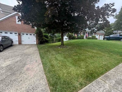 Lawn Care service in Bel Air, 21014
