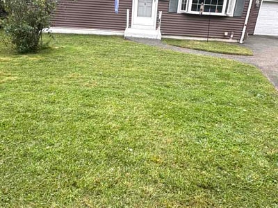 Lawn Care service in Ansonia, 06401