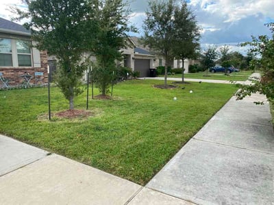 Lawn Care service in Ansonia, 06401