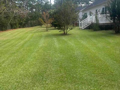 Lawn Care service in Ocean Isle Beach, 28469