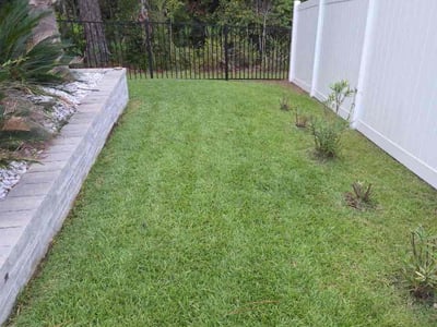 Lawn Care service in Loris, 29569