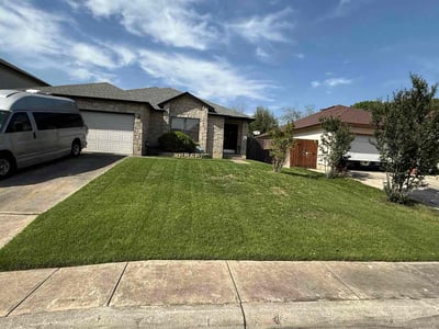 Lawn Care service in San Antonio, 78205
