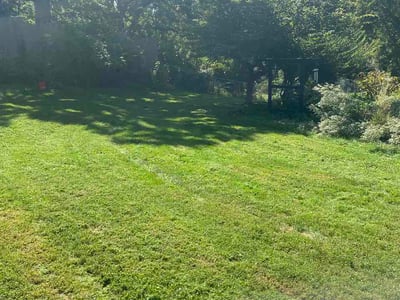 Lawn Care service in Marysville, 95901