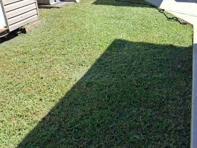 Lawn Care service in Homestead, 33030