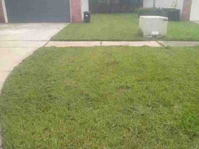 Lawn Care service in Imperial Beach, 91932
