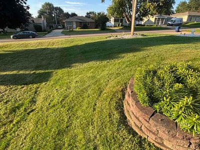 Lawn Care service in Cedar Falls, 50613