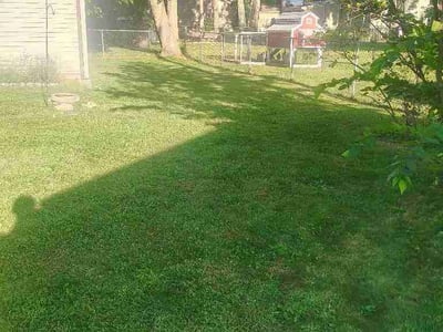 Lawn Care service in Cedar Falls, 50613