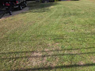 Lawn Care service in Taylors, 29687