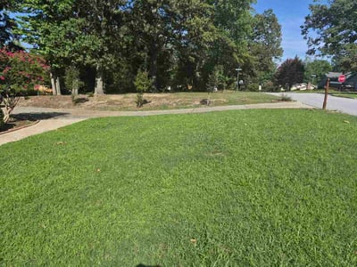 Lawn Care service in Taylors, 29687