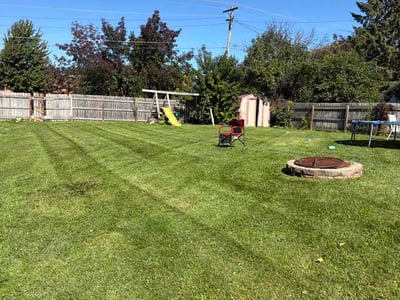 Lawn Care service in Menasha, 54952