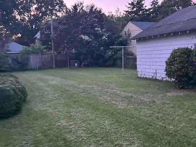 Lawn Care service in Stamford, 06901