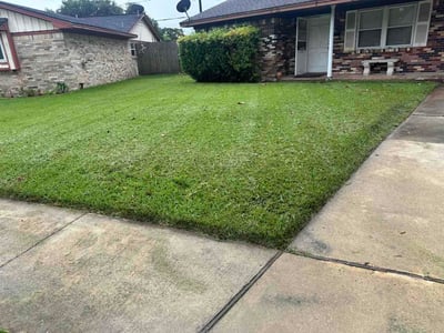 Lawn Care service in Deer Park, 77536