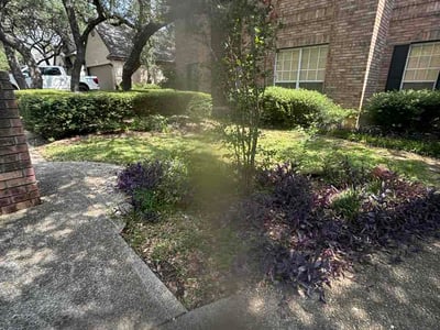 Lawn Care service in Live Oak, 78233
