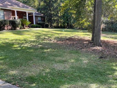 Lawn Care service in Stamford, 06901