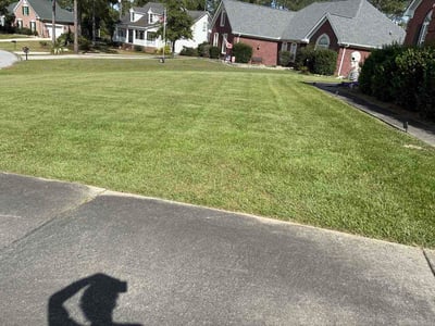 Lawn Care service in West Columbia, 29169
