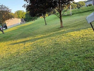 Lawn Care service in Monroeville, 15146