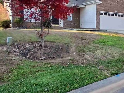 Lawn Care service in Norwalk, 06851