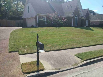 Lawn Care service in Covington, 38019