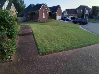 Lawn Care service in Covington, 38019