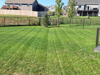 Lawn Care service in Monticello, 55362