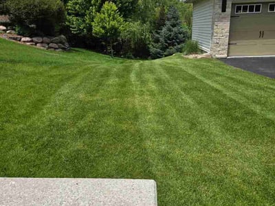 Lawn Care service in Monticello, 55362